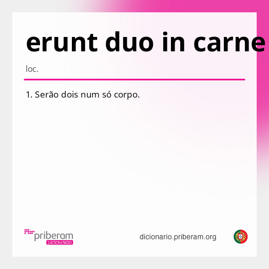 Significado de erunt duo in carne una